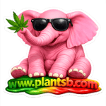 PlantsB